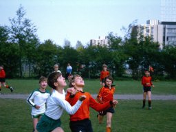 0DIA 1984 RAVA PUPS 1